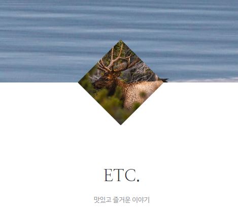 태상의 미니샵에서 만나는 집콕라이프의 현실과 팁